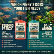 Finny's Feeding Frenzy